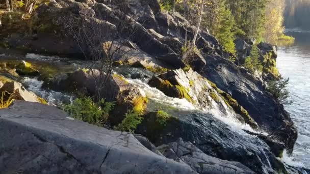 Ruscello Acqua Fiume Montagna Attraverso Rocce Pietre — Video Stock