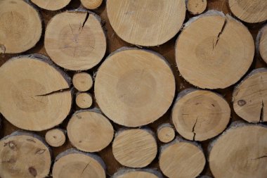 Dekorasyon, tasarım ve geliştirme için doğal ahşap dokulu yüzeyi