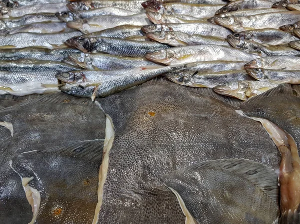 Bir Sürü Taze Çiğ Balık Stok Rafa Buz Ile — Stok fotoğraf