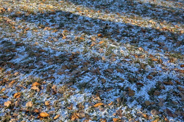 Césped Invierno Clima Frío Con Nieve Heladas —  Fotos de Stock