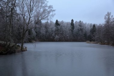 Gölü nün su yüzeyi erken kış ormanın içinde donup kalan ev
