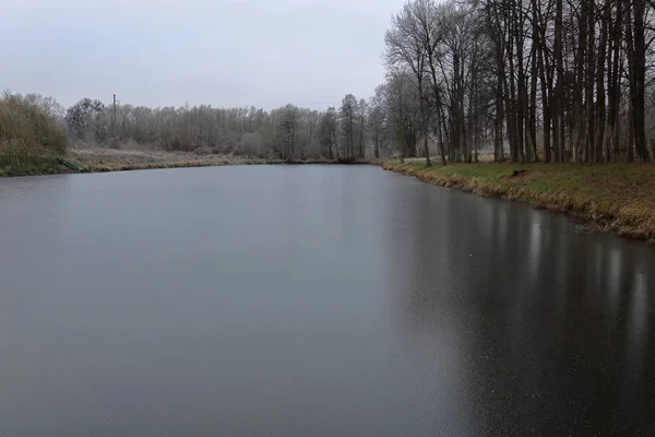 Superficie Agua Congelada Del Lago Principios Invierno Bosque —  Fotos de Stock