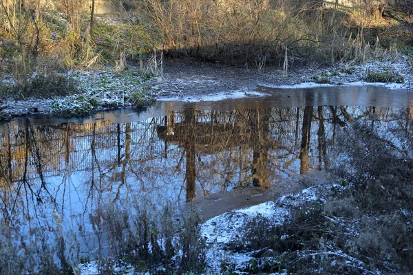 Gefrorene Wasseroberfläche Des Sees Frühen Winter Wald — Stockfoto