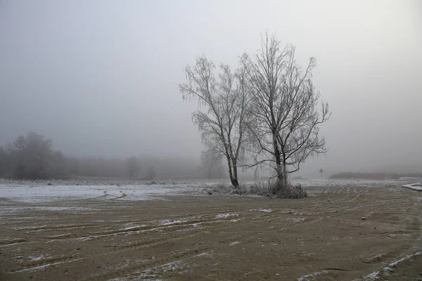 Árvores Inverno Pitorescas Cobertas Neve Geada — Fotografia de Stock
