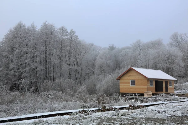 Pittoresk Vinter Träd Täckta Med Snö Och Rimfrost — Stockfoto