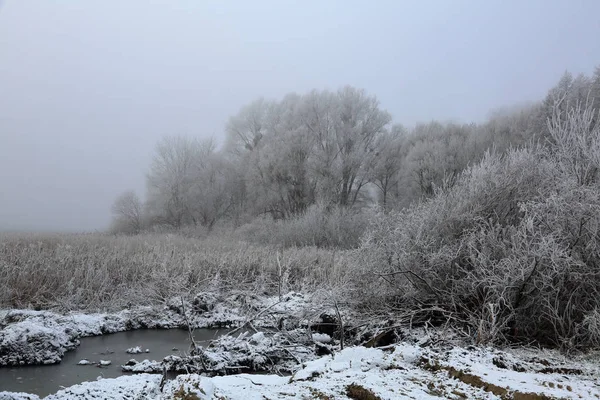 Árvores Inverno Pitorescas Cobertas Neve Geada — Fotografia de Stock