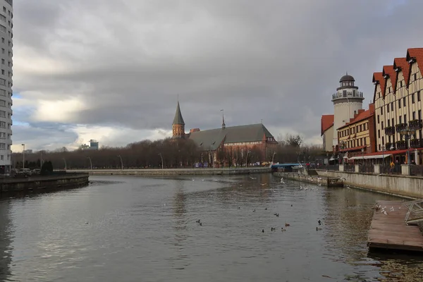 Kaliningrad Rússia Novembro 2018 Exterior Catedral Ilha Immanuel Kant Fundada — Fotografia de Stock