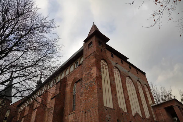Kaliningrad Rusya Kasım 2018 Dış Katedrali Immanuel Kant Adası 1933 — Stok fotoğraf