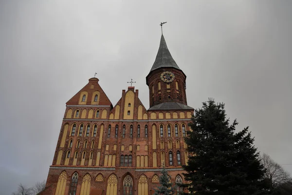 Kaliningrad Rússia Novembro 2018 Exterior Catedral Ilha Immanuel Kant Fundada — Fotografia de Stock