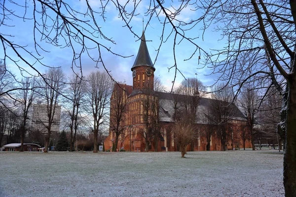 Kaliningrad Rússia Novembro 2018 Exterior Catedral Ilha Immanuel Kant Fundada — Fotografia de Stock