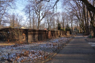 Kaliningrad, Rusya - 30 Kasım 2018: topraklarında Hayvanat Bahçesi. Modern Rusya'nın en büyük ve en eski hayvanat bahçelerinden biri. 1896 yılında kurulmuştur