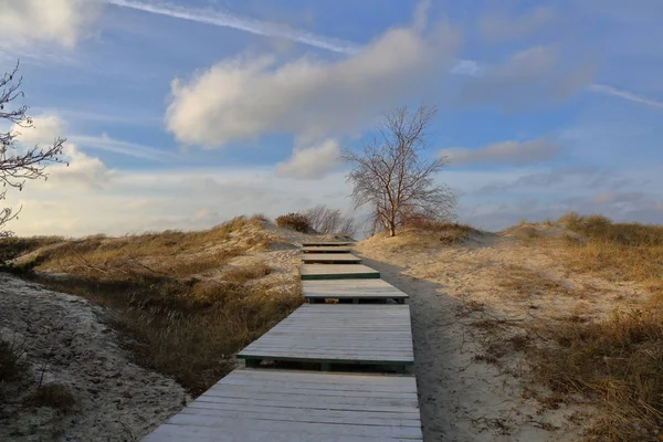 Små Sanddyner Gångyta Nära Havet — Stockfoto