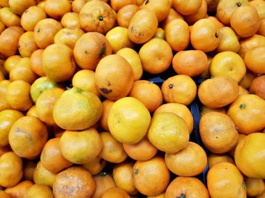 Turuncu Taze narenciye dükkan pencerede yalan