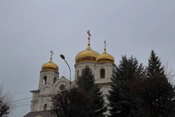 Pyatigorsk Russland Dezember 2018 Außenfassade Der Spasski Kathedrale Gegründet 1845 — Stockfoto
