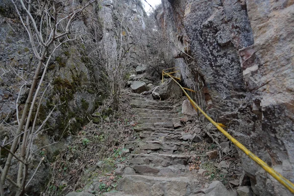 Ladder Van Natuurstenen Hoge Berg Gorge — Stockfoto