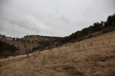 Sonbahar günü bulutlu havalarda tepelerde yamaçları