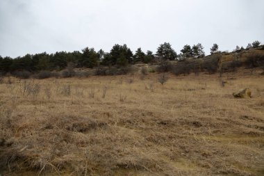Sonbahar günü bulutlu havalarda tepelerde yamaçları