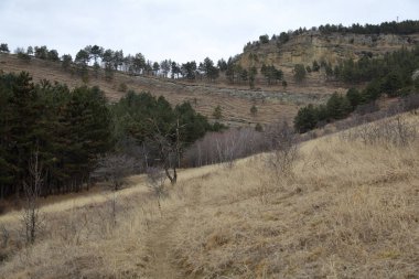 Sonbahar günü bulutlu havalarda tepelerde yamaçları