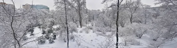 Snowbound Désert Parc Ville Hiver Froid — Photo