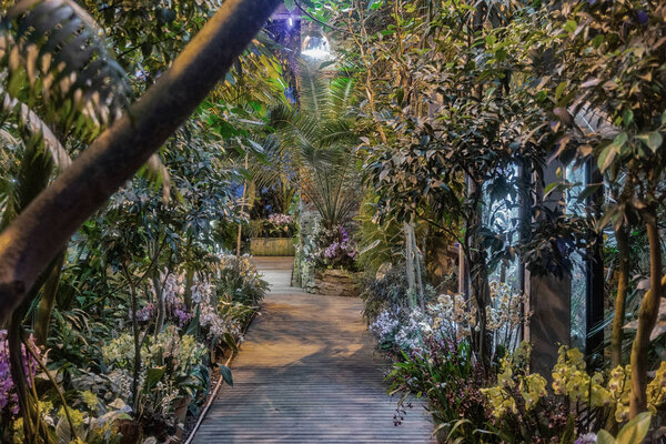 Inside a tropical greenhouse