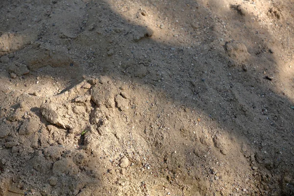 Textura de areia suja — Fotografia de Stock