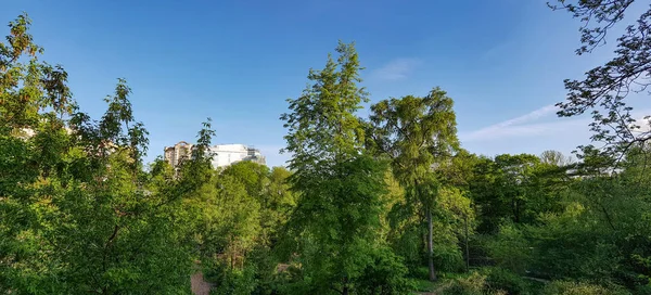 Yeşil Yaz park