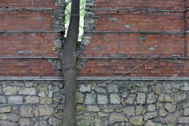 Eski taş duvar