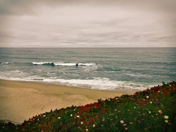 Pasifik Kaliforniya manzara — Stok fotoğraf