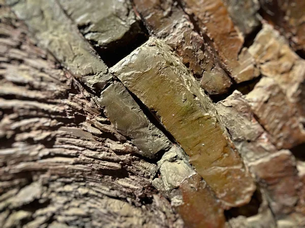 Textura de pared de ladrillo — Foto de Stock