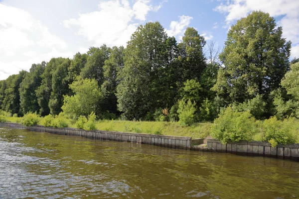 Deciduous forest and river — Stock Photo, Image