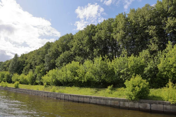 Stock image Deciduous forest and river