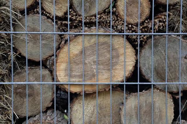 Trockenes gesägtes Holz im Hinterhof — Stockfoto