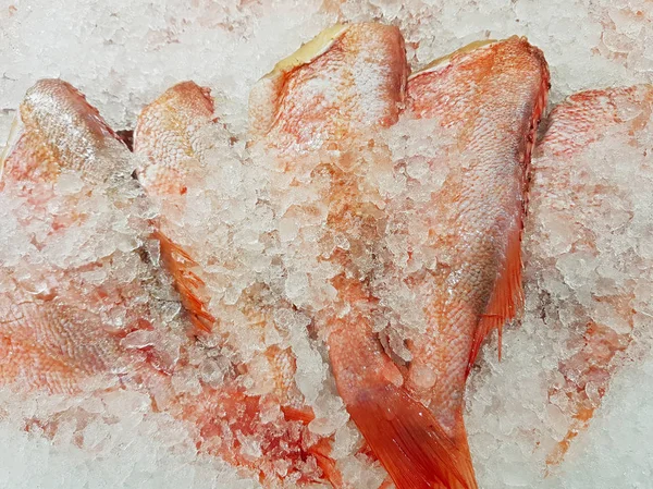 Φρεσκοπιασμένα ψάρια με πάγο στην αποθήκη — Φωτογραφία Αρχείου
