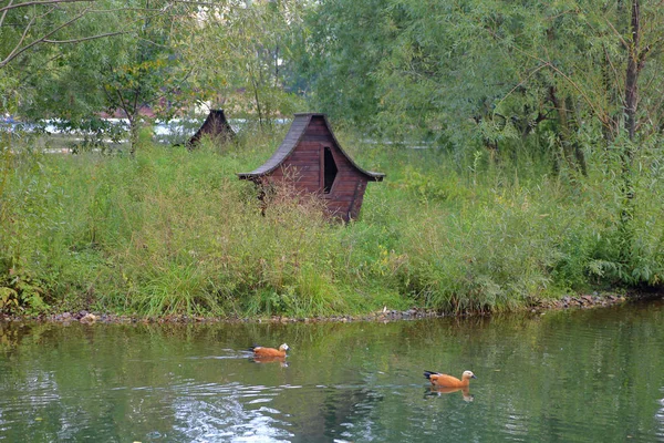 Small wooden house for waterfowl birds — Stock Photo, Image