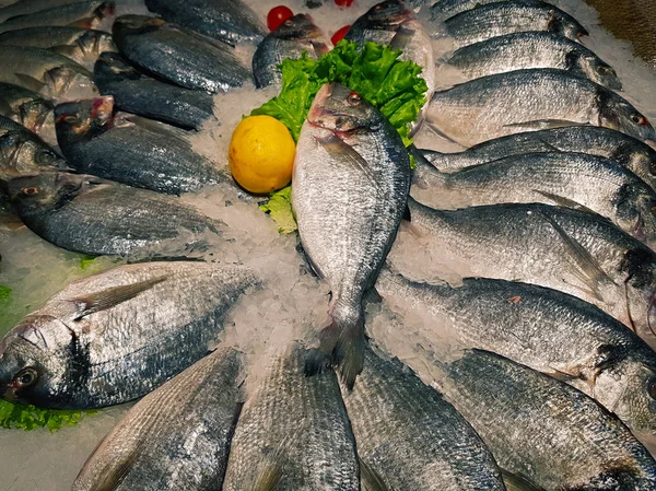 Pescado recién capturado con hielo en el estante de la tienda — Foto de Stock