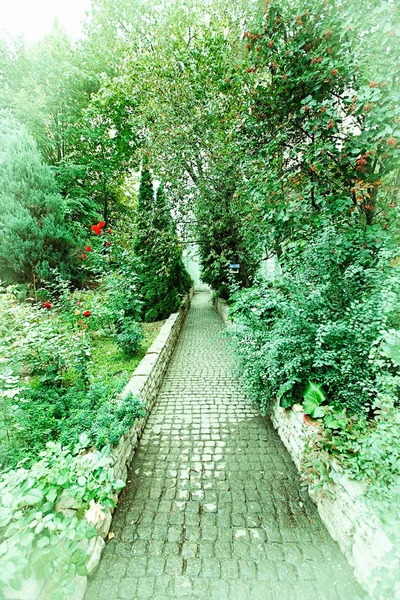 Stig för promenader i den gröna sommar parken — Stockfoto