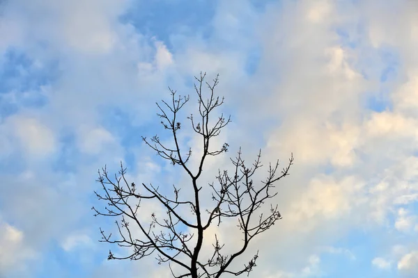 Nuvens no céu quando o tempo muda — Fotografia de Stock