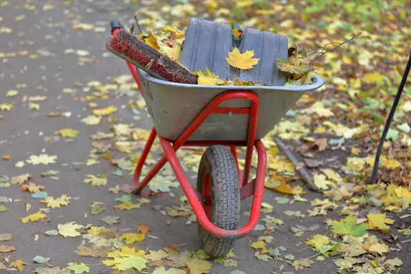Red wheel barrow for autumn gardening