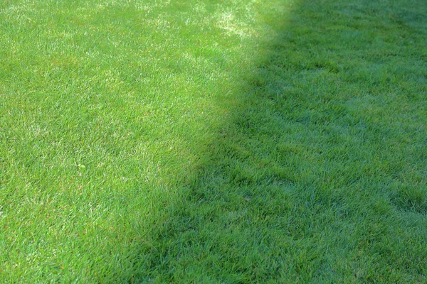 Heller grüner Rasen mit Schatten — Stockfoto