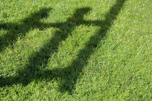 Césped verde brillante con una sombra de sujeto — Foto de Stock