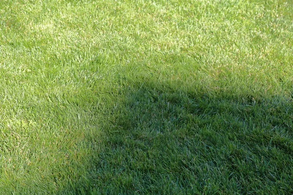 Césped verde brillante con una sombra de sujeto —  Fotos de Stock