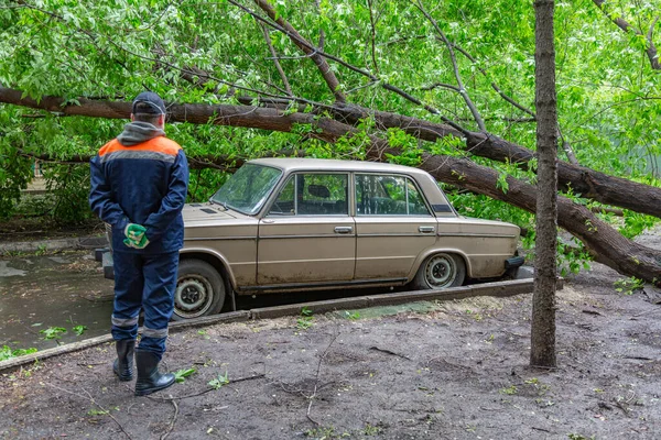 緑の落葉樹はハリケーンの間に古い車に落ちた — ストック写真