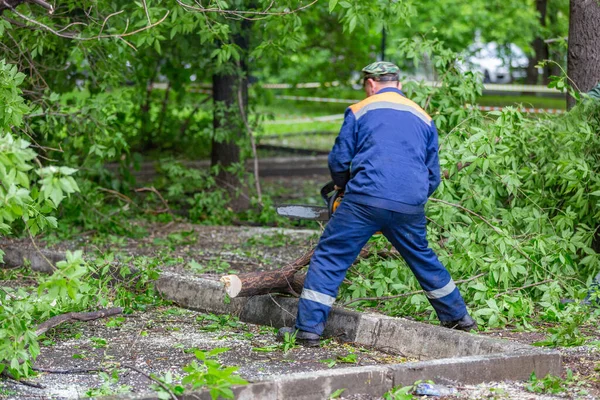 Travailleur Uniforme Avec Une Tronçonneuse Sciant Arbre Tombé Pendant Ouragan — Photo