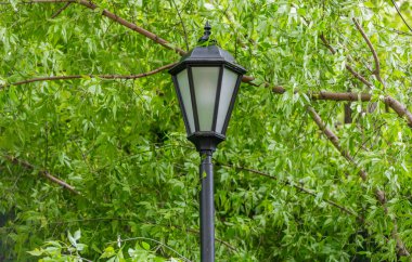 Şehrin caddesinde antika siyah bir fener.