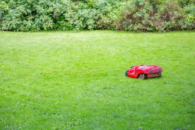 Otomatik çim biçme makinesi bahçe geliştirme ve bahçede çim biçme için.