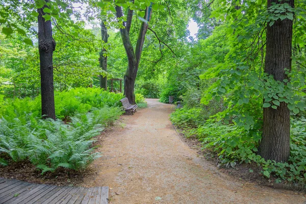 Шлях Пішоходів Гуляти Сучасному Зеленому Міському Парку Літній День — стокове фото