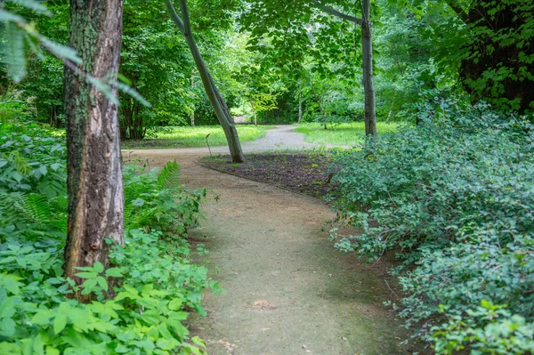 Spazierweg Für Fußgänger Einem Modernen Grünen Stadtpark Sommer — Stockfoto