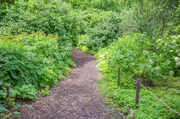 Spazierweg Für Fußgänger Einem Modernen Grünen Stadtpark Sommer — Stockfoto