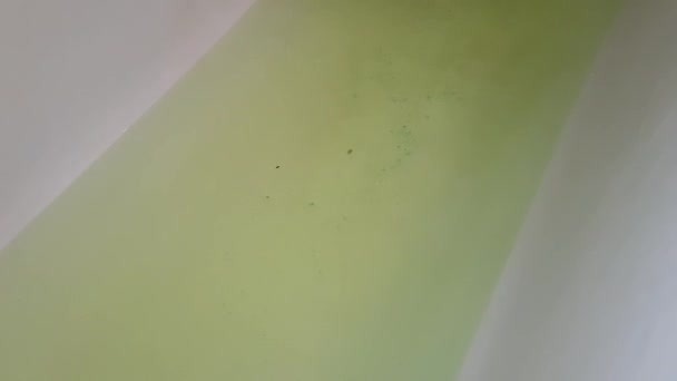 Extraña Agua Verde Bañera Blanca Del Hotel — Vídeos de Stock