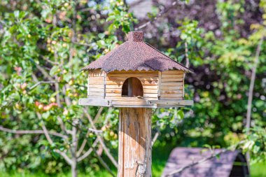 Yeşil yaz kenti parkında kuş yemi.